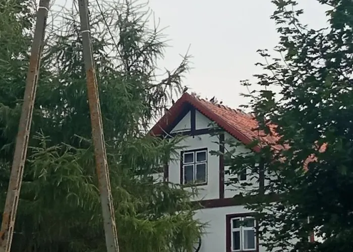 Pokoje U Roberta