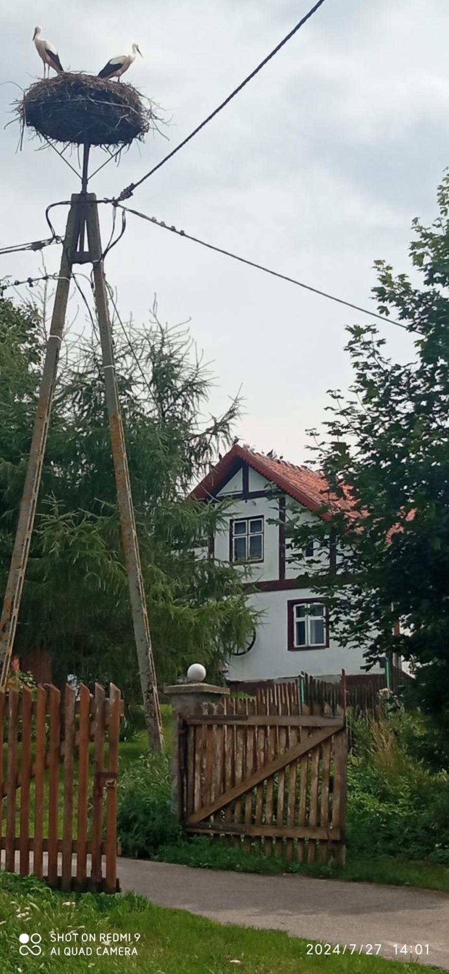 U Roberta * Wegorzewo